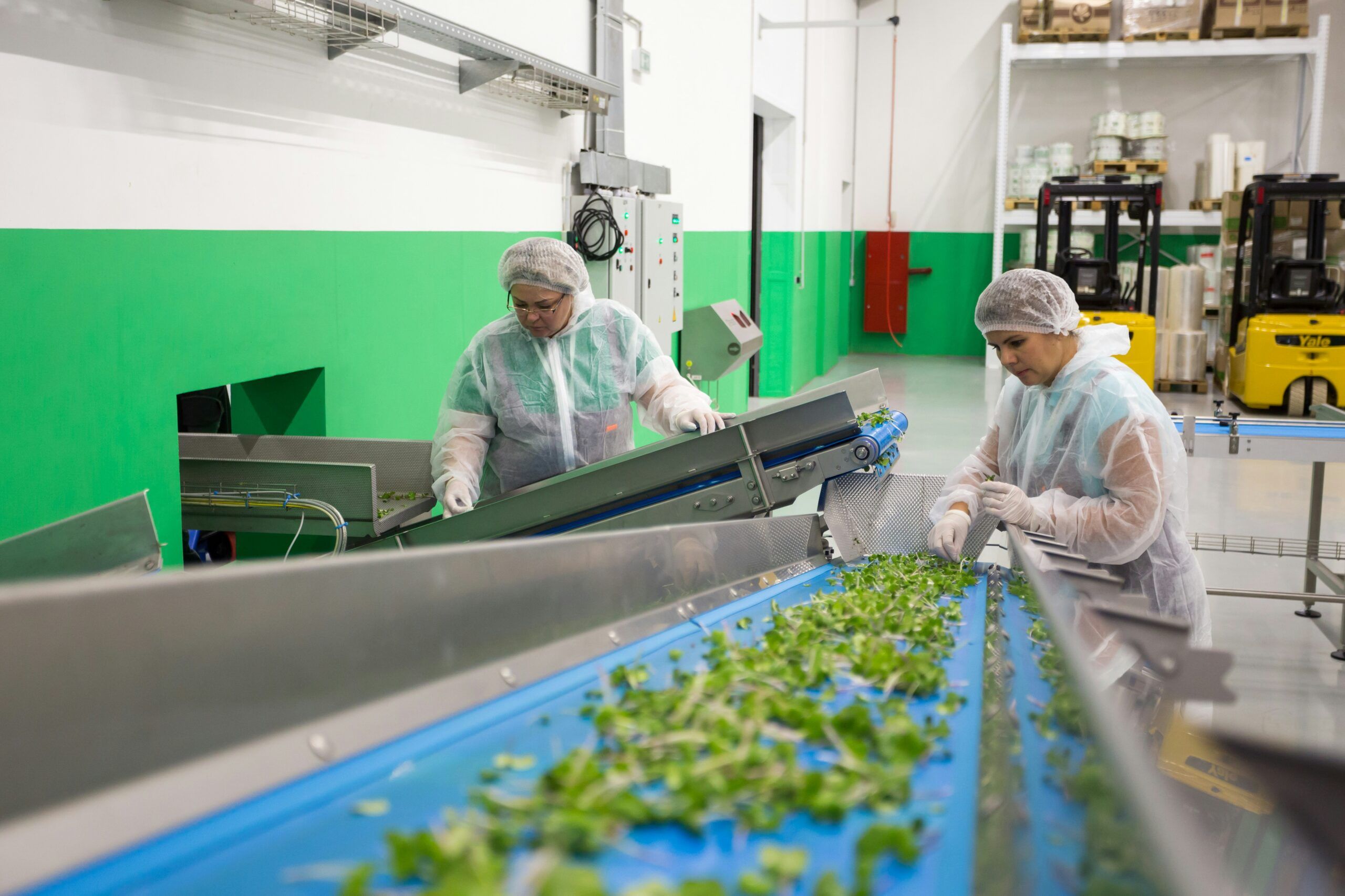 This is a picture of people working within a manufacturing environment to show a consistent workforce thanks to Team4You